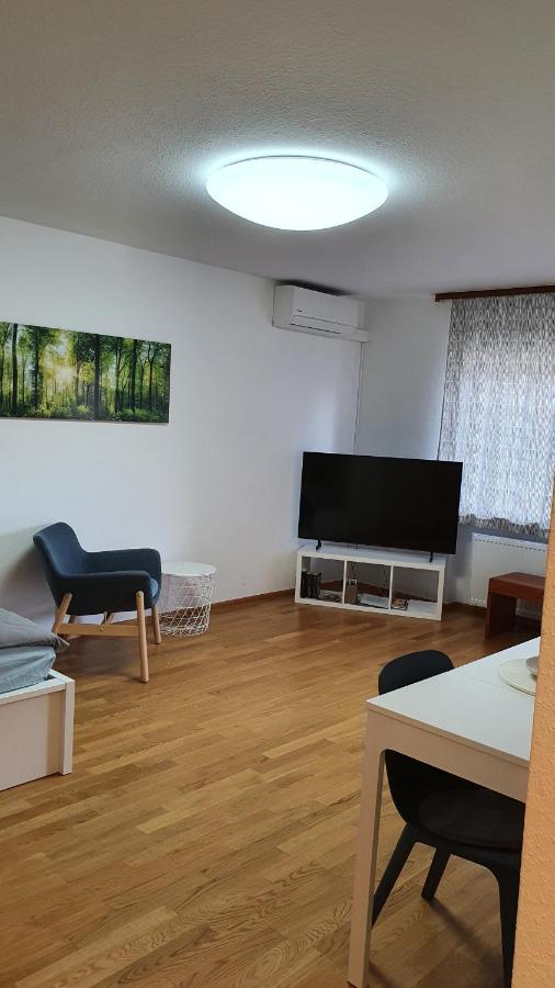 Wohnung am Neckar Heidelberg Exterior foto
