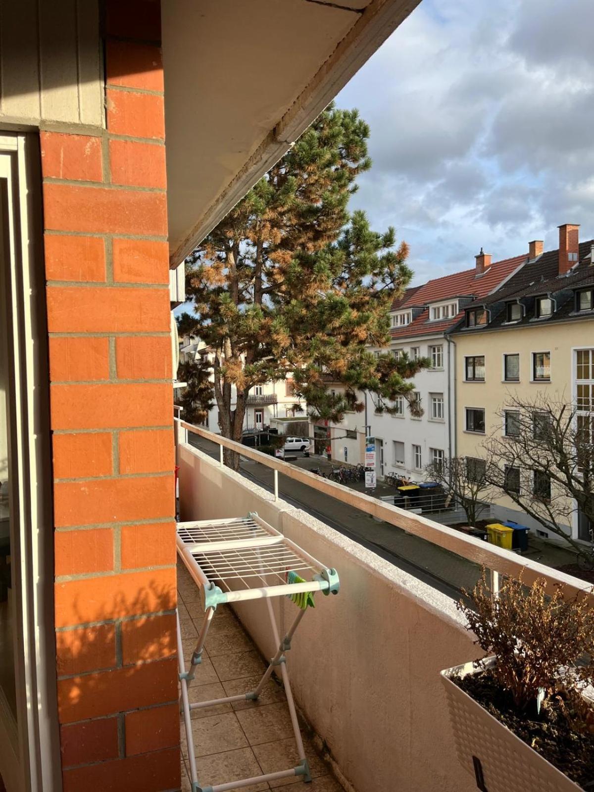 Wohnung am Neckar Heidelberg Exterior foto
