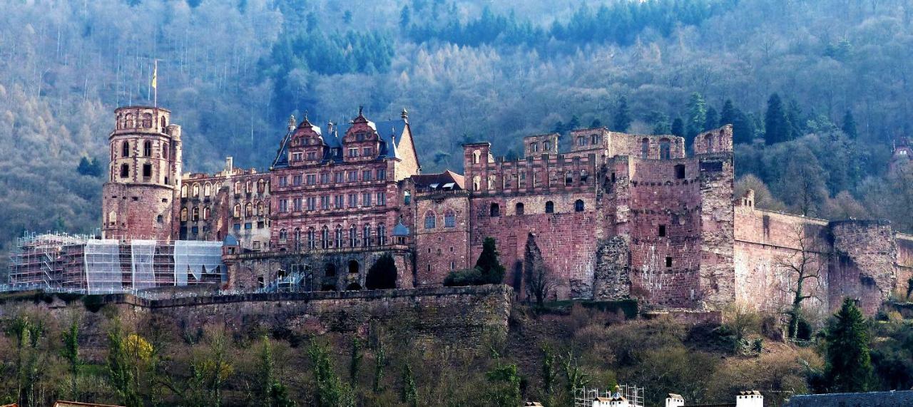 Wohnung am Neckar Heidelberg Exterior foto